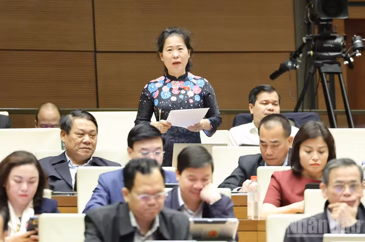 Đại biểu Tô Ái Vang. (Ảnh: DUY LINH)