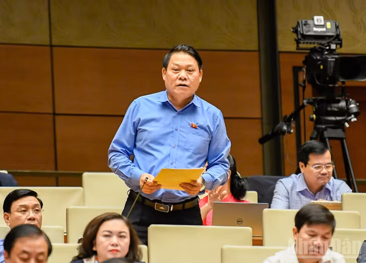 Đại biểu Nguyễn Thành Nam. (Ảnh: DUY LINH)