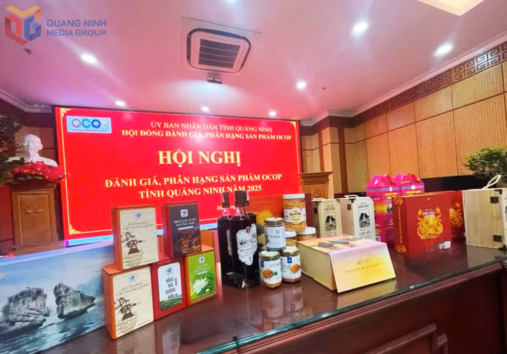 Các sản phẩm tham gia đánh giá, phân hạng năm 2025.