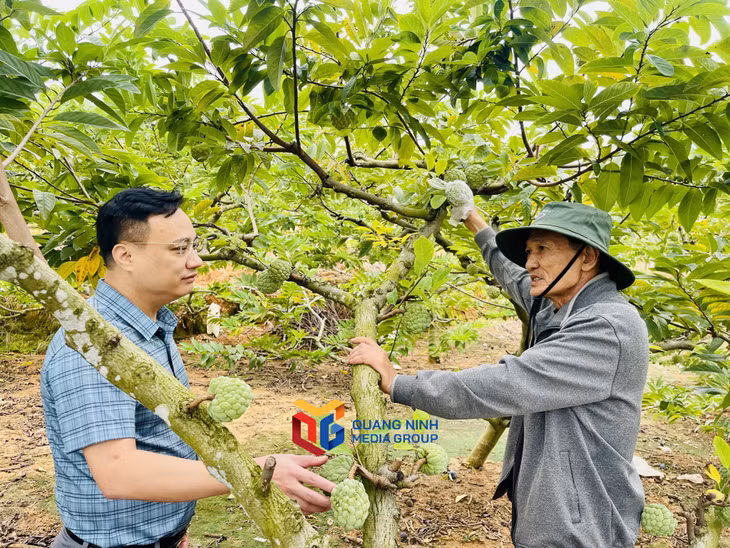 Lãnh đạo xã Thống Nhất (bên trái) trao đổi với ông Lê Hồng Thắng (thôn Đình) về việc mở rộng diện tích trồng na trái vụ.