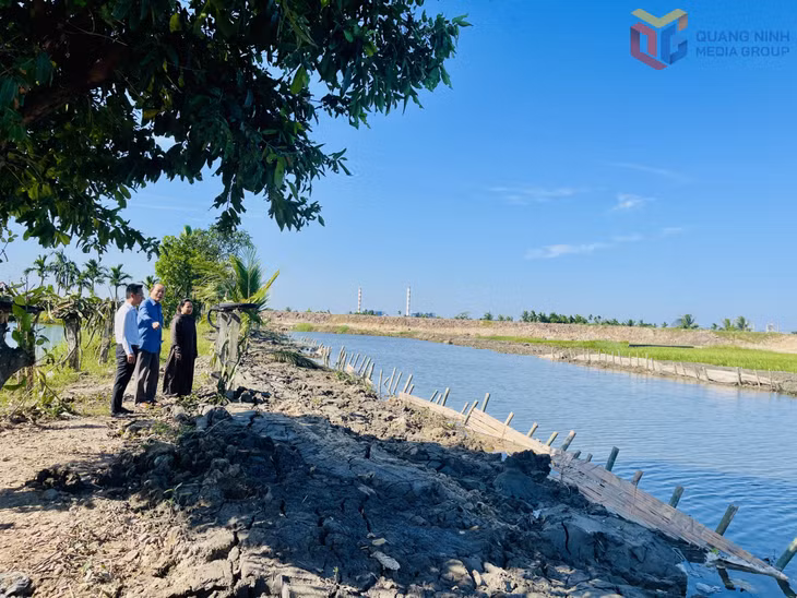 Tuyến kênh chảy qua khu Yên Giang 3 (phường Quảng Yên) được nạo vét, khơi thông.