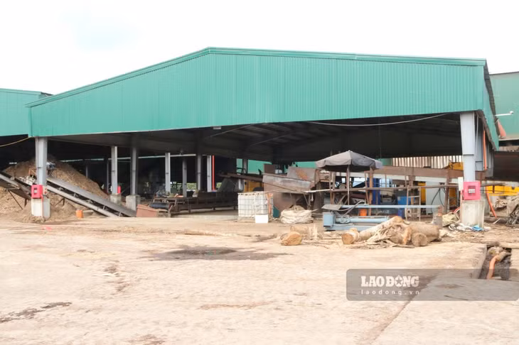 Khu vực nhà xưởng sản xuất gỗ dăm và viên nén của Công ty TNHH Kiệt Lâm YB. Ảnh: Văn Đức
