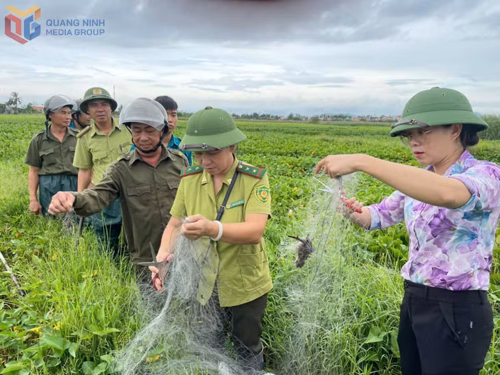 Lực lượng kiểm lâm khu vực 1 phối hợp thu giữ lưới bẫy chim.