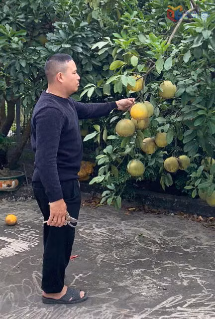 Anh Đỗ Văn Thái chăm sóc vườn nhà.
