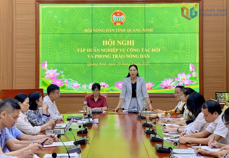 HND tỉnh tập huấn nghiệp vụ công tác hội và phong trào nông dân cho cán bộ hội khi thực hiện mô hình chính quyền địa phương 2 cấp.