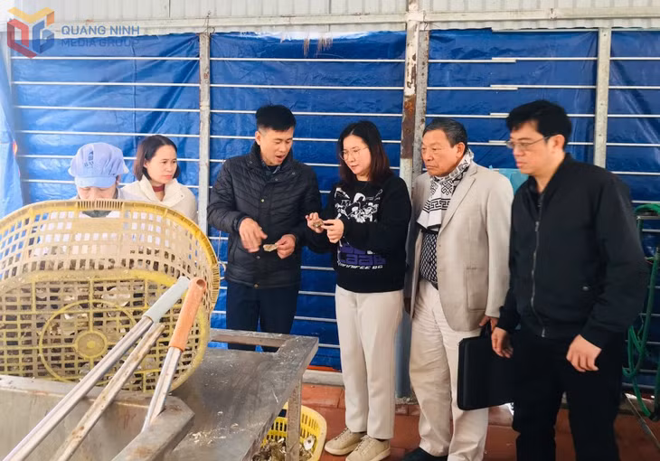 Đoàn kiểm tra liên ngành ATTP số 2 của tỉnh kiểm tra cơ sở chế biến thủy sản trên địa bàn đặc khu Vân Đồn. Ảnh: Minh Đức
