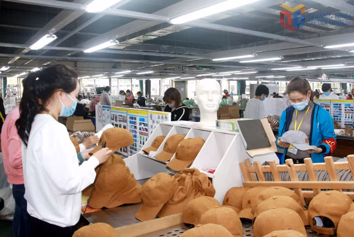Sản xuất mũ xuất khẩu tại Công ty TNHH Dệt may Weitai Hạ Long (KCN Việt Hưng). Ảnh: Mạnh Trường