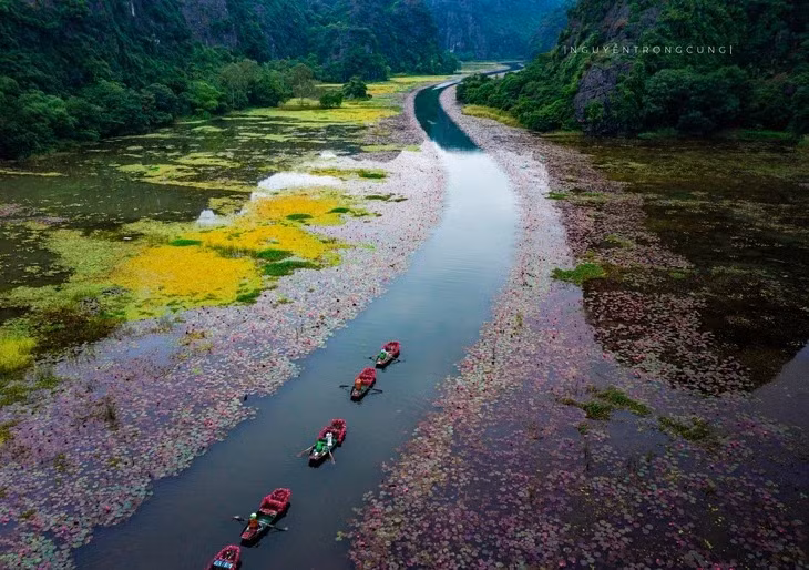 Khung cảnh "tuyệt đối điện ảnh" bên dòng sông Ngô Đồng mùa thu - Ảnh: NGUYỄN TRỌNG CUNG