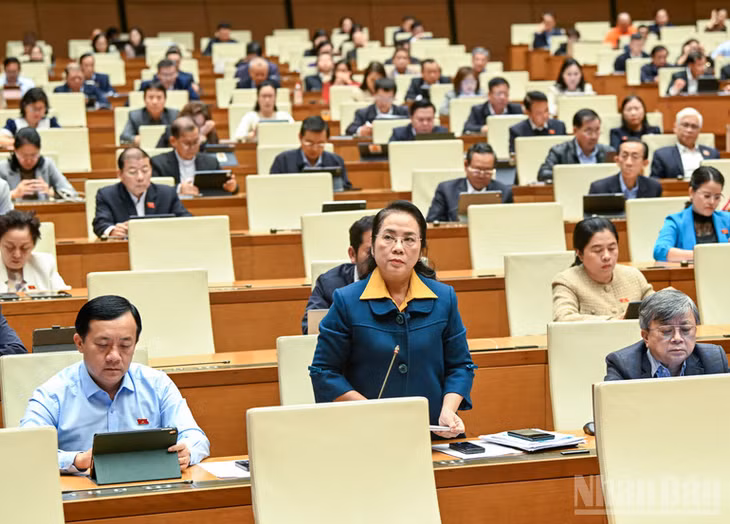 Đại biểu Trần Kim Yến. (Ảnh: DUY LINH)