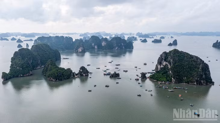 Vịnh Hạ Long là một trong những điểm đến được du khách Australia lựa chọn khi đến Việt Nam. (Ảnh: THÀNH ĐẠT)
