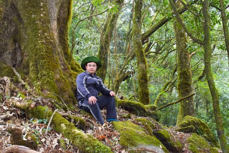 Rừng cổ thụ Nậm Nghẹp được nhiều người trekking vì vẻ đẹp suốt hành trình leo núi. Ảnh: Trường Sơn