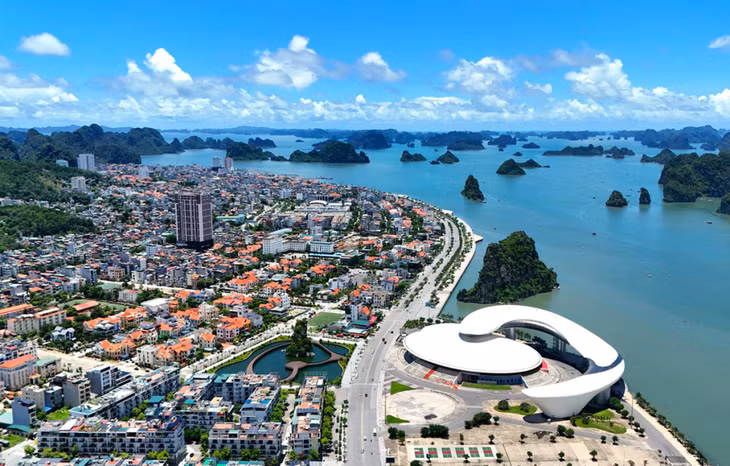 Cùng Cây Ba Miền điểm danh những dòng cây hoa công trình đẹp đang "gây sốt" giới đầu tư ảnh 1 Cùng Cây Ba Miền điểm danh những dòng cây hoa công trình đẹp đang "gây sốt" giới đầu tư ảnh 1