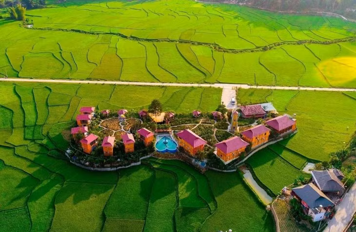 Khu Homestay Love hill nằm giữa cánh đồng lúa, thuộc xã Than Uyên, tỉnh Lai Châu. Ảnh: UBND tỉnh Lai Châu