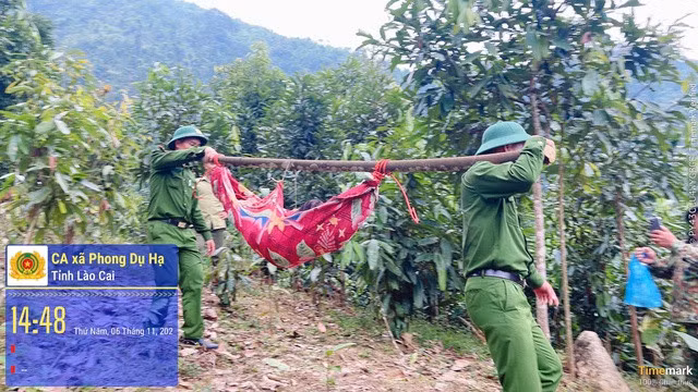 Lực lượng chức năng dùng cáng tự chế đưa cụ bà đi cấp cứu. Ảnh: Công an xã Phong Dụ Hạ.