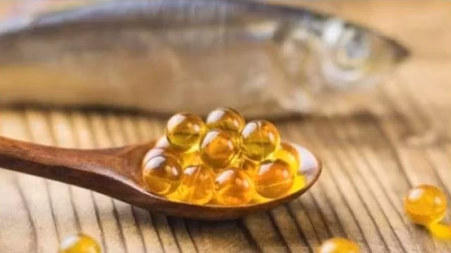 Các loại cá béo như cá hồi, cá cơm, cá trích, cá mòi chứa nhiều acid béo omega-3 và vitamin A cần thiết cho sức khỏe.