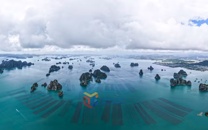 Khu nuôi trồng thủy sản nằm xen giữa quần thể núi đá vôi, tạo nên bức tranh sinh động của con người hòa cùng thiên nhiên.