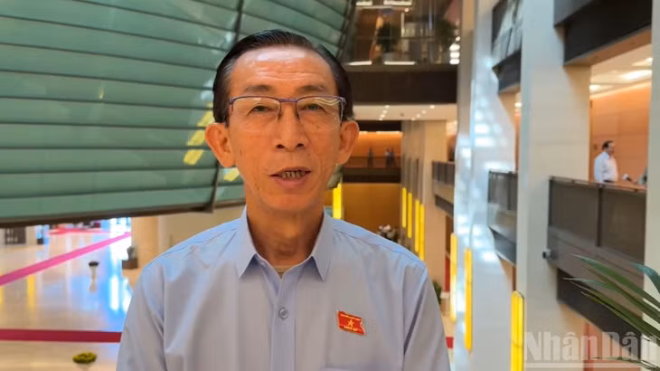 Đại biểu Trần Hoàng Ngân (Thành phố Hồ Chí Minh). (Ảnh: TRUNG HƯNG)