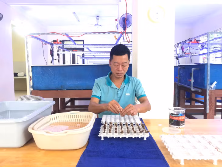 Anh Nguyễn Ngọc Đạt, Trung tâm Khuyến nông và Quản lý bảo vệ, phát triển rừng, kiểm tra chất lượng mẫu san hô tại phòng thí nghiệm của Dự án.
