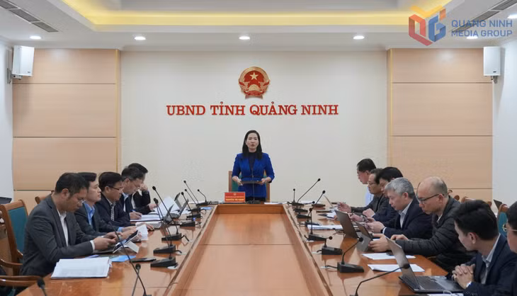 Đồng chí Nguyễn Thị Hạnh, Phó Chủ tịch UBND tỉnh phát biểu chỉ đạo tại buổi làm việc.