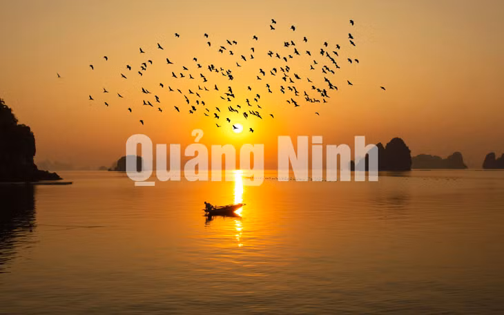 Bình minh Bái Tử Long (6-2020). Ảnh: Dương Phượng Đại