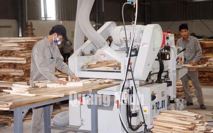Công ty TNHH chế biến sản xuất gỗ Thanh Lâm (xã Đầm Hà) ảnh 2