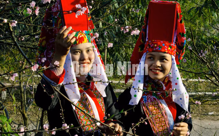 Cô gái Dao Thanh Phán (Bình Liêu) bên hoa đào (3-2021). Ảnh: Dương Phương Đại