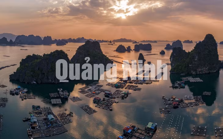 Một sớm mùa thu Vịnh Hạ Long (3-2018). Ảnh: Nguyễn Đức Thành
