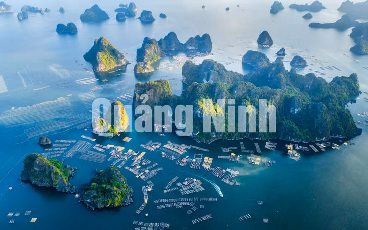 Chiều Bái Tử Long. Ảnh: Nguyễn Hải Huy