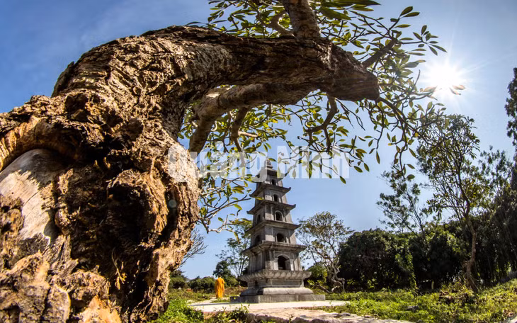 Một góc chùa Quỳnh Lâm (1-2021). Ảnh: Khánh Giang