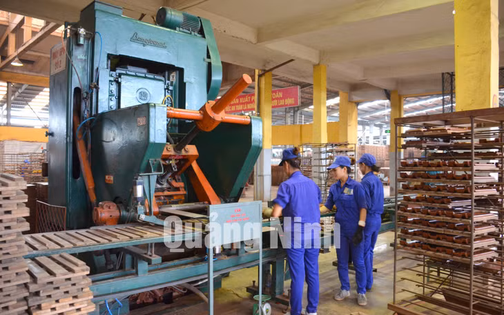 Công nghệ sản xuất gạch ngói của Công ty CP Viglacera Hạ Long ngày càng hiện đại. Ảnh: Nguyễn Hoa