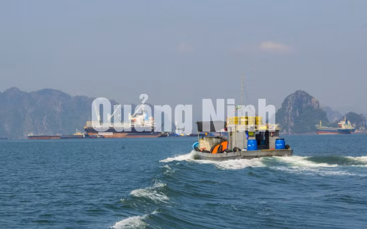 Những con tàu chờ than ảnh 8