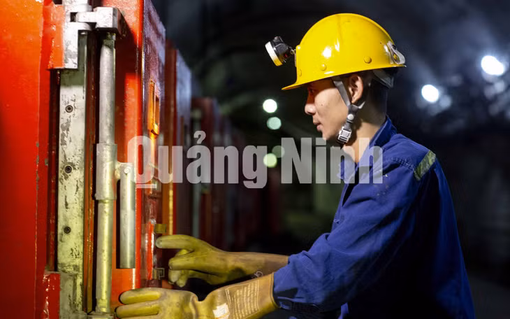 Thợ điện hầm lò (Công ty Than Hà Lầm) (5-2020). Ảnh: Dương Phượng Đại.