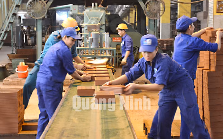 Sản xuất gạch tại Nhà máy gạch Tiêu Giao. Ảnh: Nguyễn Hoa