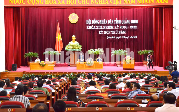 Đại biểu tham gia thảo luận tại hội trường.