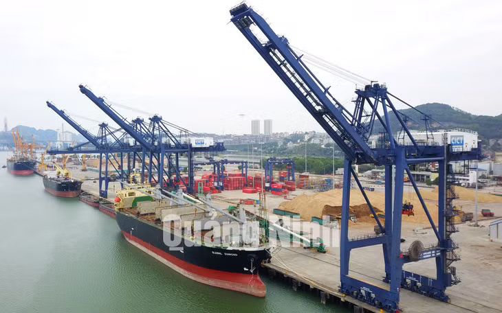 Cảng Cái Lân đã đón 3 tàu vào làm hàng (1-2020). Ảnh: Đỗ Phương