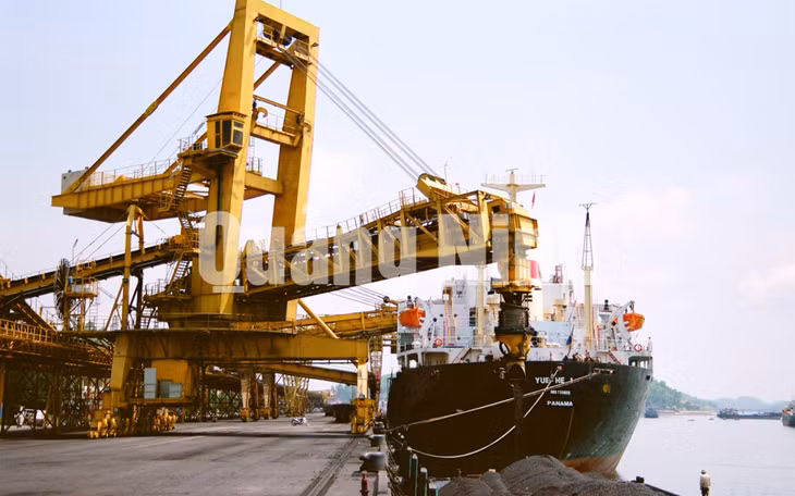 Rót than xuống tàu biển xuất khẩu. Ảnh tư liệu của Công ty Tuyển than Cửa Ông