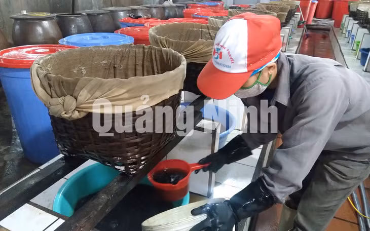 Nước mắm cao đạm sẽ tiếp tục được ủ cùng với nguyên liệu sá sùng trong vòng 2 tháng rồi đem vào lọc rút để lấy nước mắm sá sùng (6-2019). Ảnh: Nguyên Ngọc