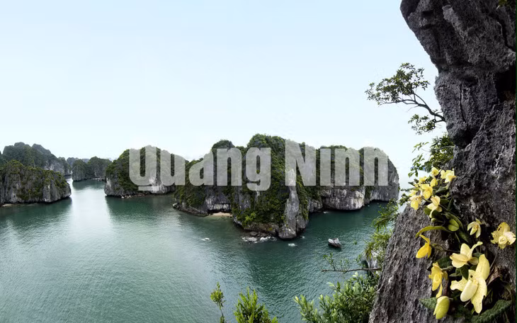 Vịnh Hạ Long mùa xuân. Ảnh: Đỗ Giang