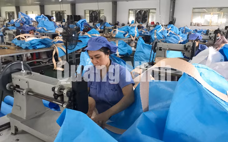 Công nhân bộ phận may bao bì xuất khẩu sang Nhật Bản (9-2018). Ảnh: Khánh Giang