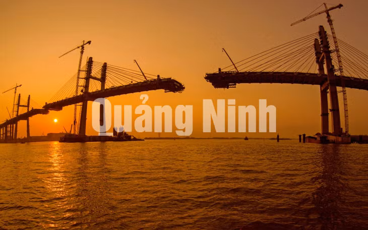 Đợi ngày hợp long (2-2018). Ảnh: Dương Văn Toàn