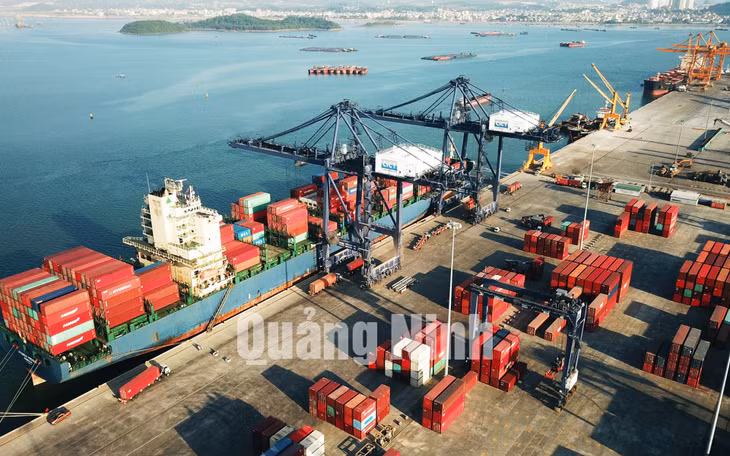 Bốc xếp hàng hóa tại Cảng container quốc tế Cái Lân (CICT) (4-2020). Ảnh: Minh Đức