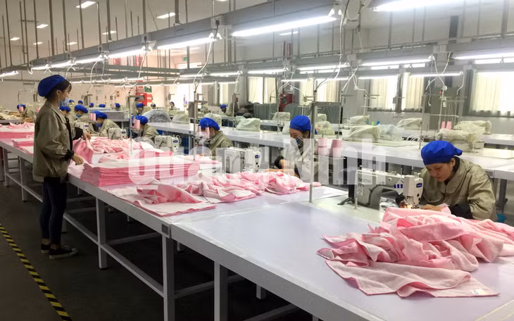 Sản xuất khăn tắm, khăn mặt cao cấp tại Công ty TNHH Đại Đông Việt Nam (KCN Texhong Hải Hà) (1-2018). Ảnh: Hữu Việt