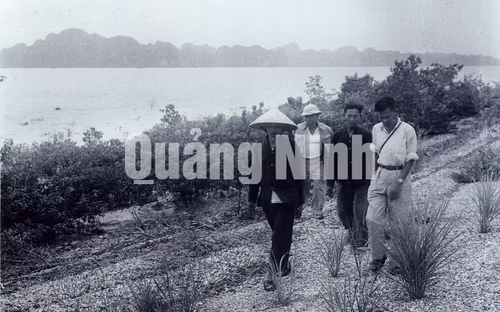 Chủ tịch Hồ Chí Minh thăm đảo Tuần Châu, ngày 5-10-1957. Cùng đi với người có đồng chí Nguyễn Tuân, Bí thư Khu ủy Hồng Quảng.
