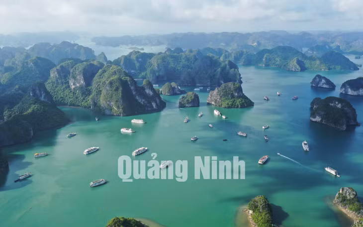 Tầu du lịch trên Vịnh Hạ Long (8-2020). Ảnh: Đỗ Phương