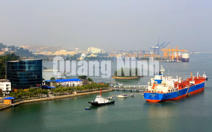 Hoạt động kinh doanh xăng, dầu tại Công ty Xăng dầu B12 (11-2019). Ảnh: Minh Đức