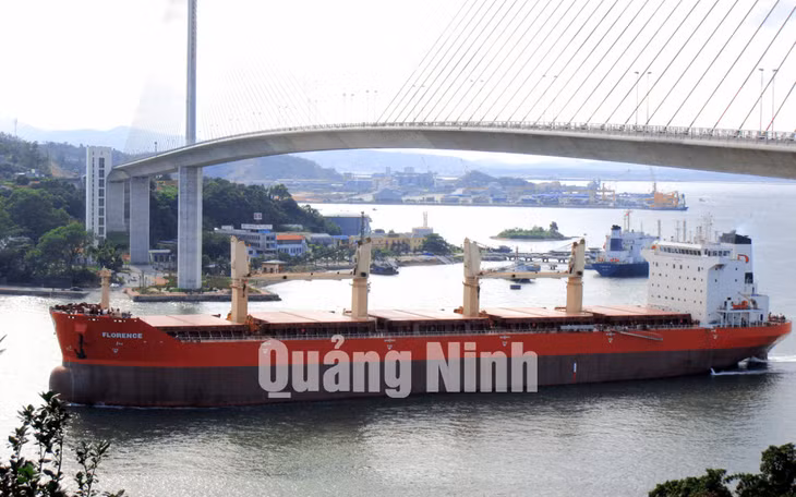Tàu 53.000 tấn xuất khẩu cho Nhật Bản năm 2007.