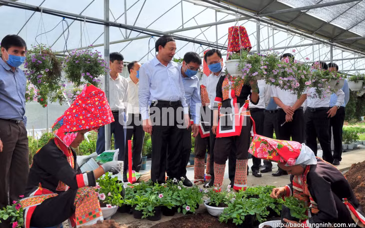 Bí thư Tỉnh ủy Nguyễn Xuân Ký đến thăm mô hình nông nghiệp ứng dụng công nghệ cao của HTX Hoa Bình Liêu (thôn Cao Sơn, xã Hoành Mô) (9-2020). Ảnh: Minh Hà