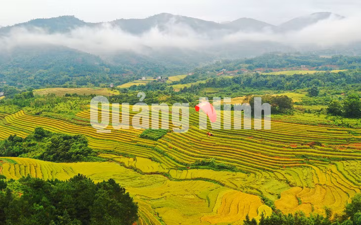 Thành viên CLB Dù lượn Đông Bắc sử dụng dù bay tại Lễ hội Mùa vàng Bình Liêu 2020 (11-2020). Ảnh: Đỗ Phương