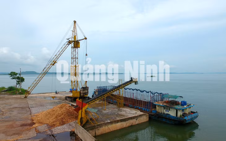 Bốc xếp hàng hóa tại cảng Mũi Chùa, huyện Tiên Yên (5-2020). Ảnh: Khánh Giang