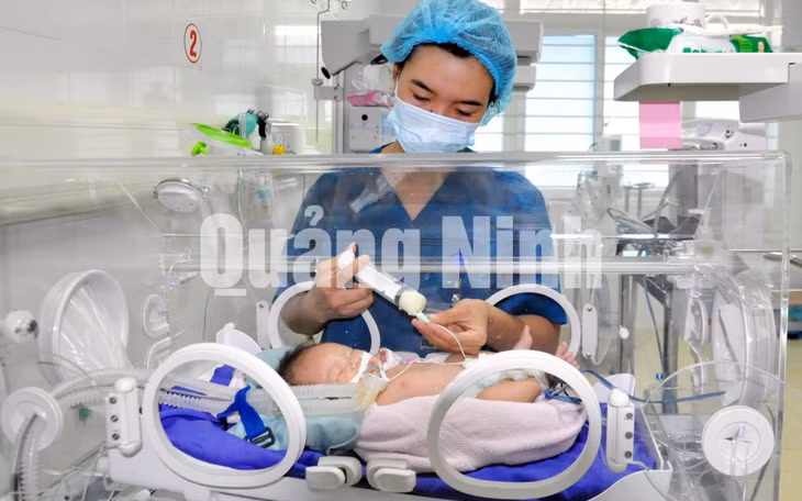 Các y tá ở Khoa Sơ sinh chăm sóc trẻ sơ sinh. Ảnh: Hoàng Quý